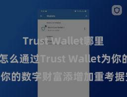 Trust Wallet哪里可以下载 怎么通过Trust Wallet为你的数字财富添增加重考据安全规律？