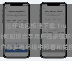 信任钱包极速下载 Trust Wallet何如撑合手用户在多链环境中照看和兑换钞票？