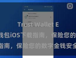 Trust Wallet ETH转账 信任钱包iOS下载指南，保险您的数字金钱安全